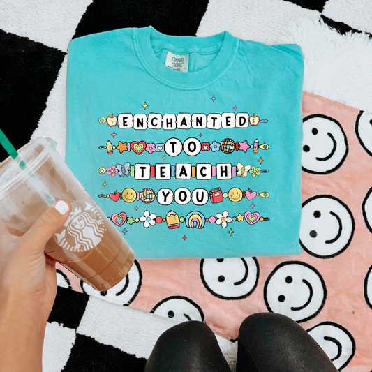 Enchanted to teach you Tshirt