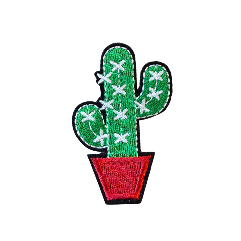 Spikey cactus patch