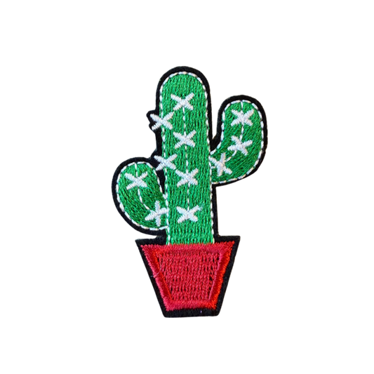 Spikey cactus patch